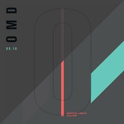 Architecture & Morality - Dazzle Ships (Live At the Royal Albert Hall)