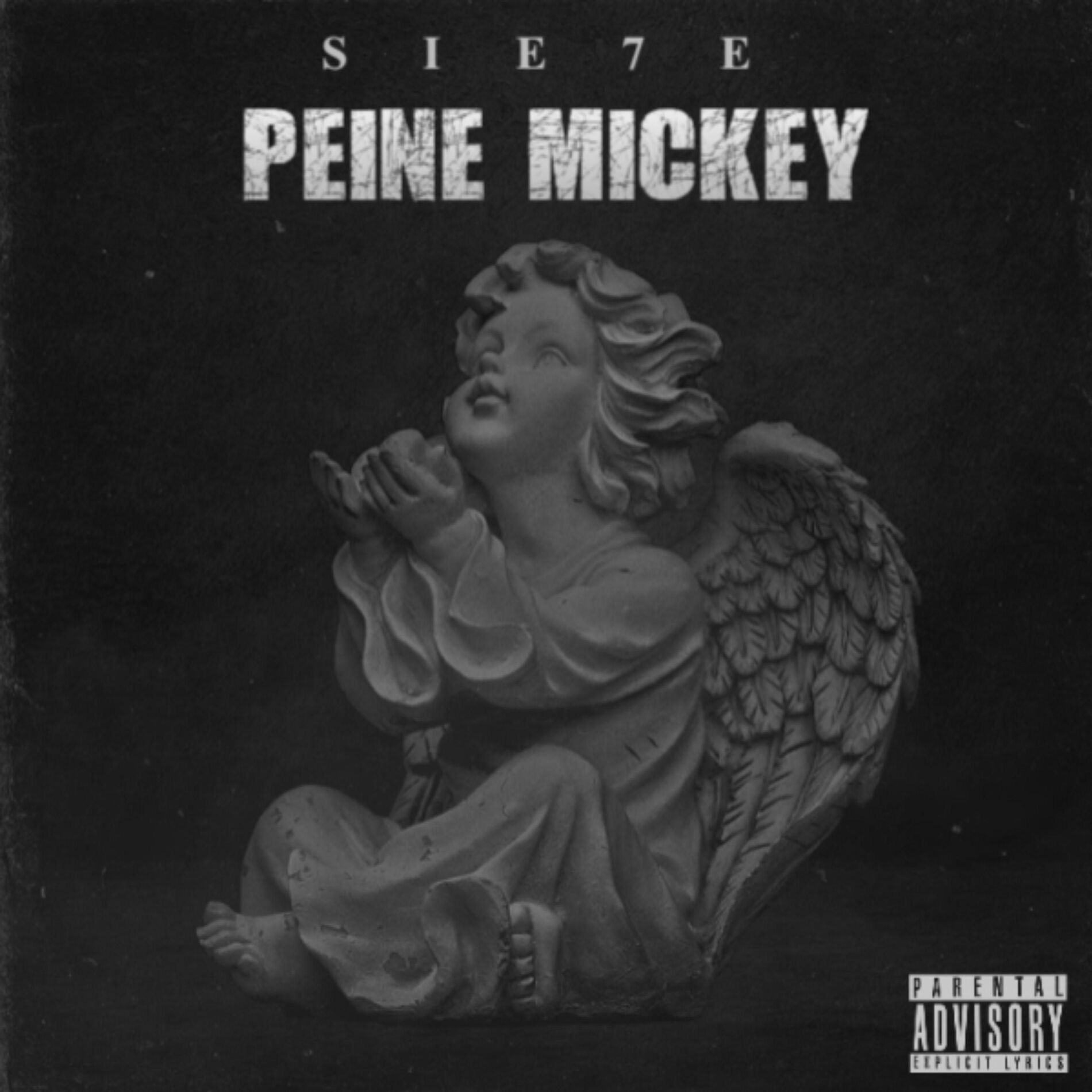 Album cover of PEINE MICKEY
