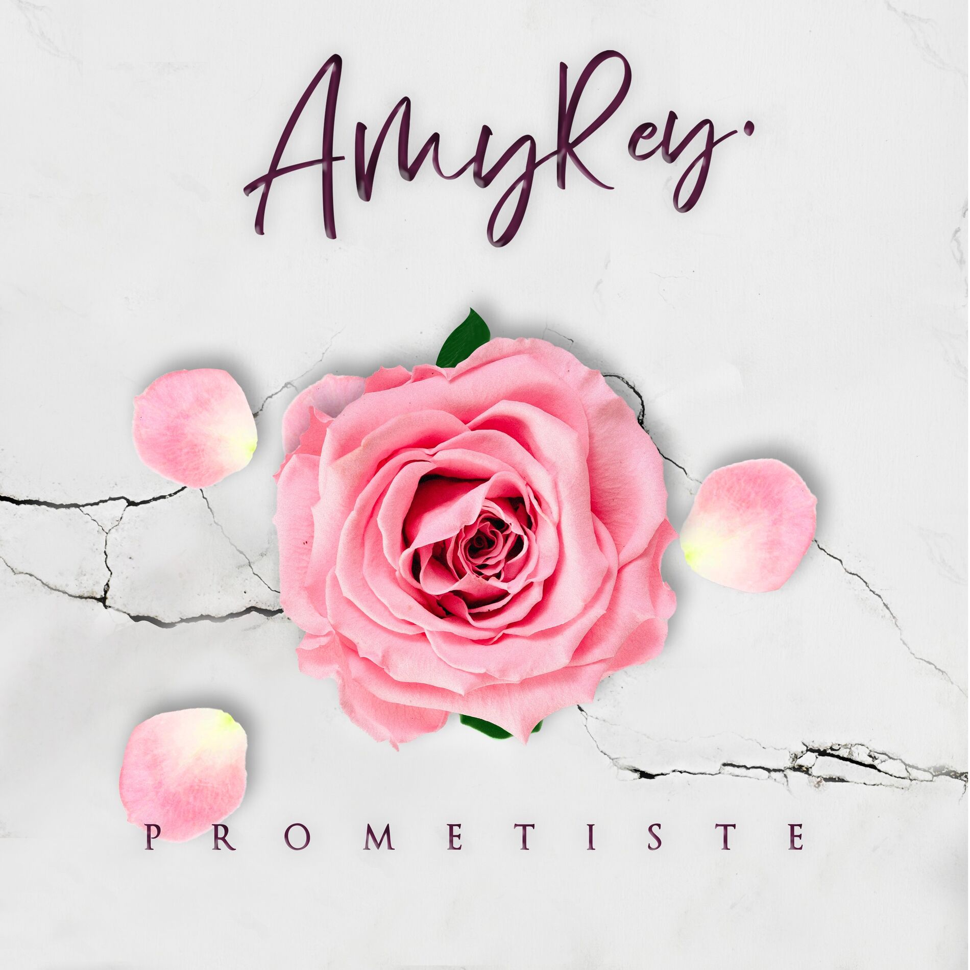 Album cover of Prometiste