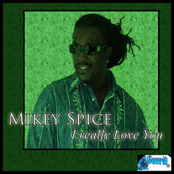 Cover of I Really Love You