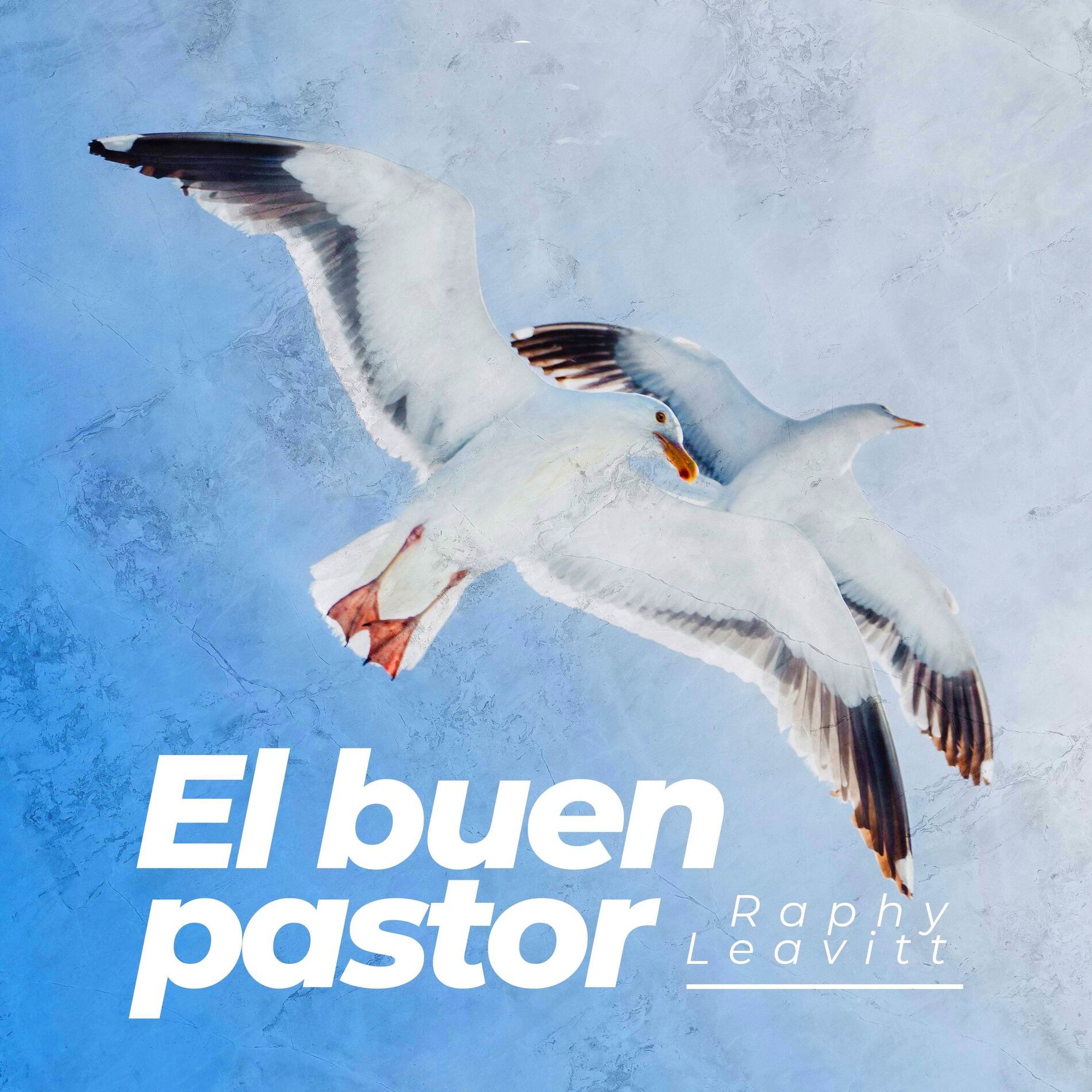 Album cover of El Buen Pastor