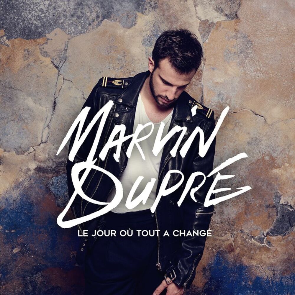 Picture of Le jour où tout a changé