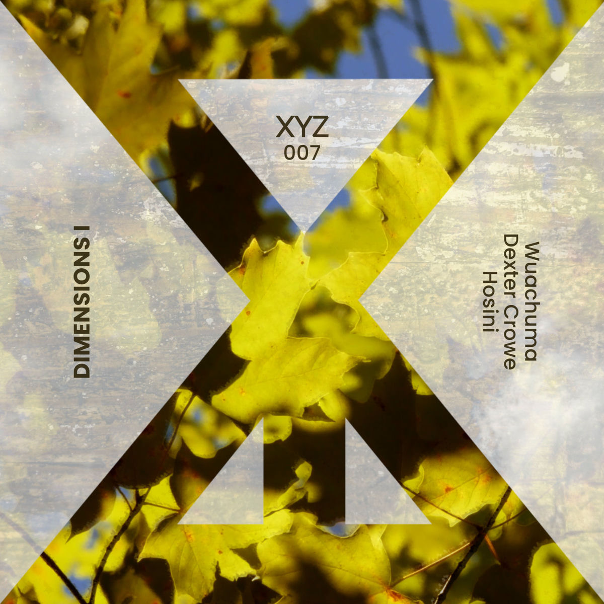 Album cover of Flyga