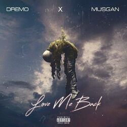Cover of Love Me Back