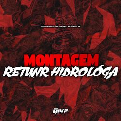 Cover of Montagem Retunr Hidrológa