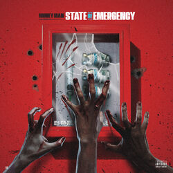 Cover of State of Emergency
