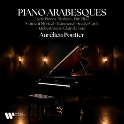 Piano Arabesques - Lyric Pieces, Waltzes, Für Elise, Moment musical, Träumerei, An die Musik, Liebestraum, Clair de lune