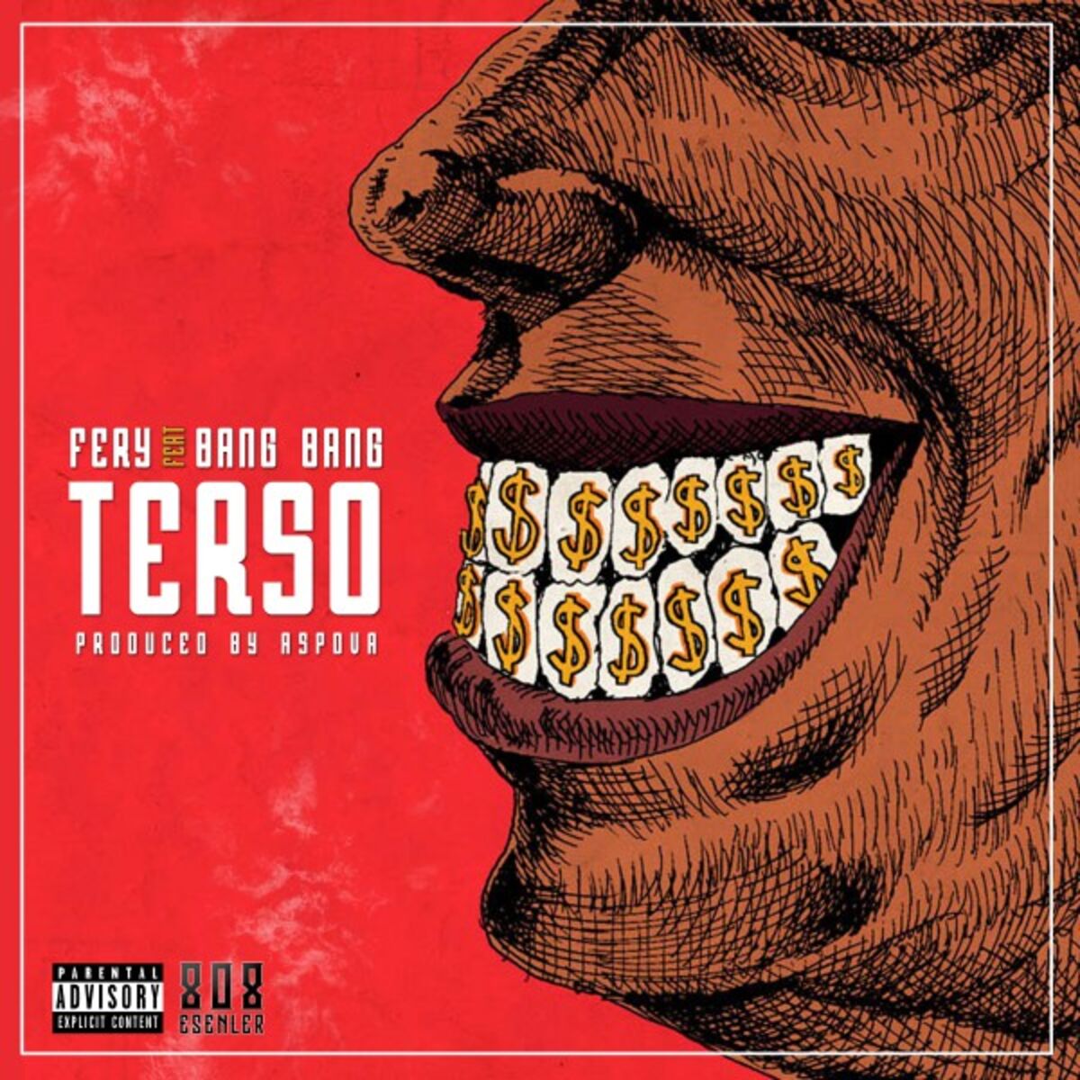 Album cover of Terso