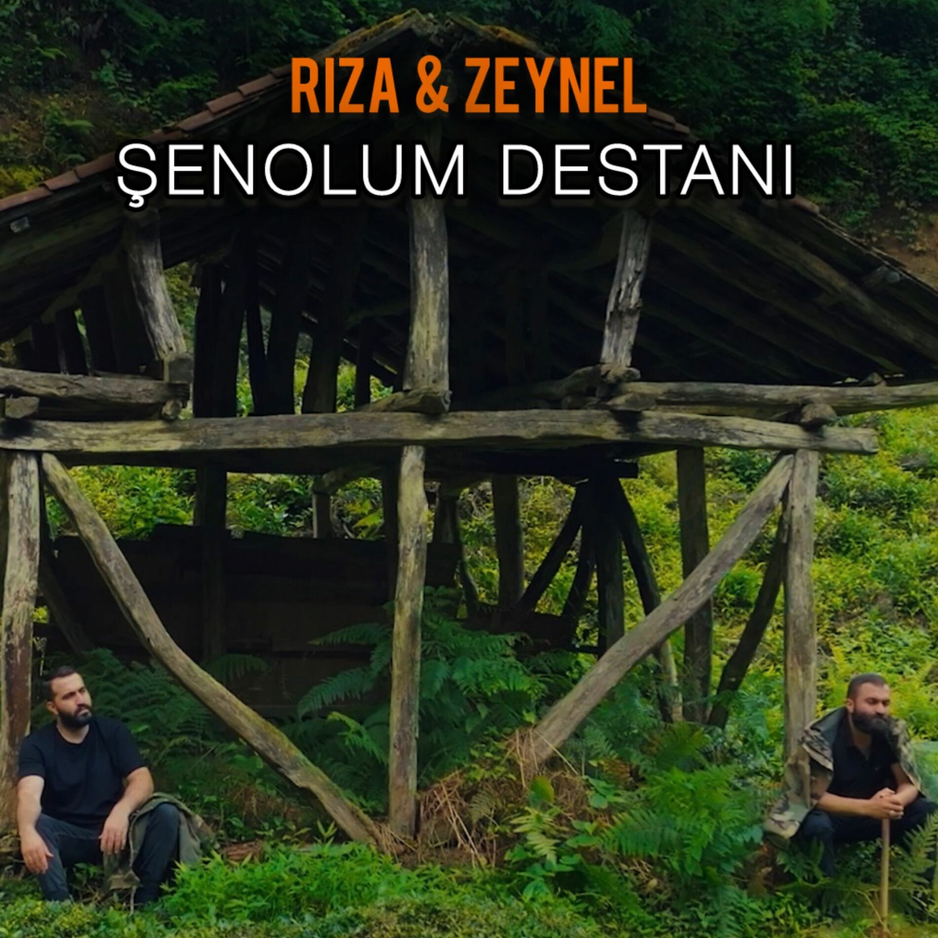Album cover of Şenolum Destanı