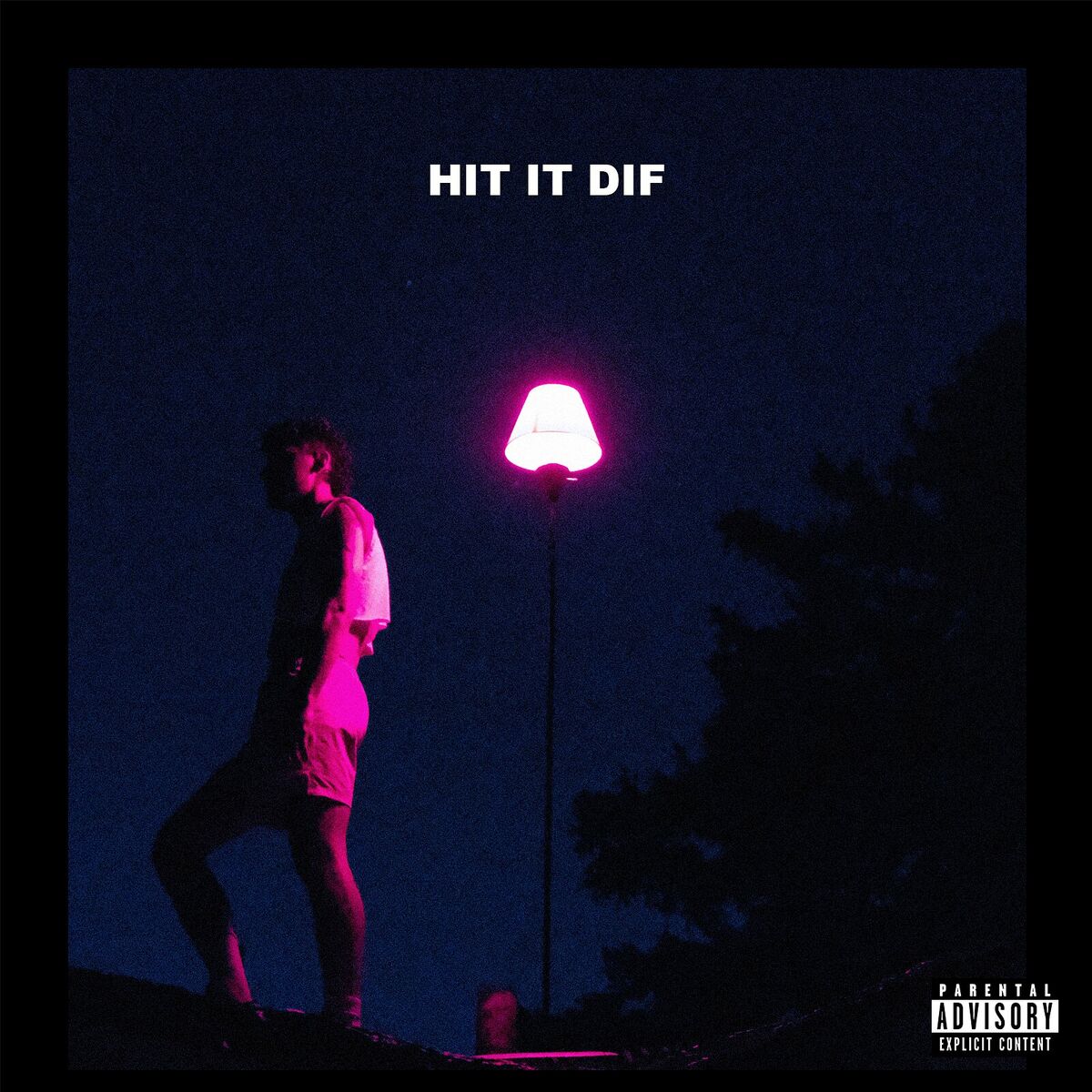 Album cover of Hit It Dif