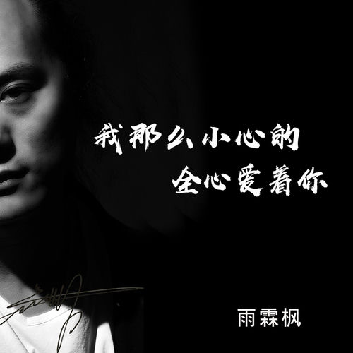 我那么小心的全心爱着你