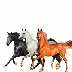 Cover of Old Town Road (Diplo Remix)