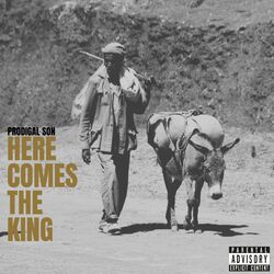 Cover of here comes the king