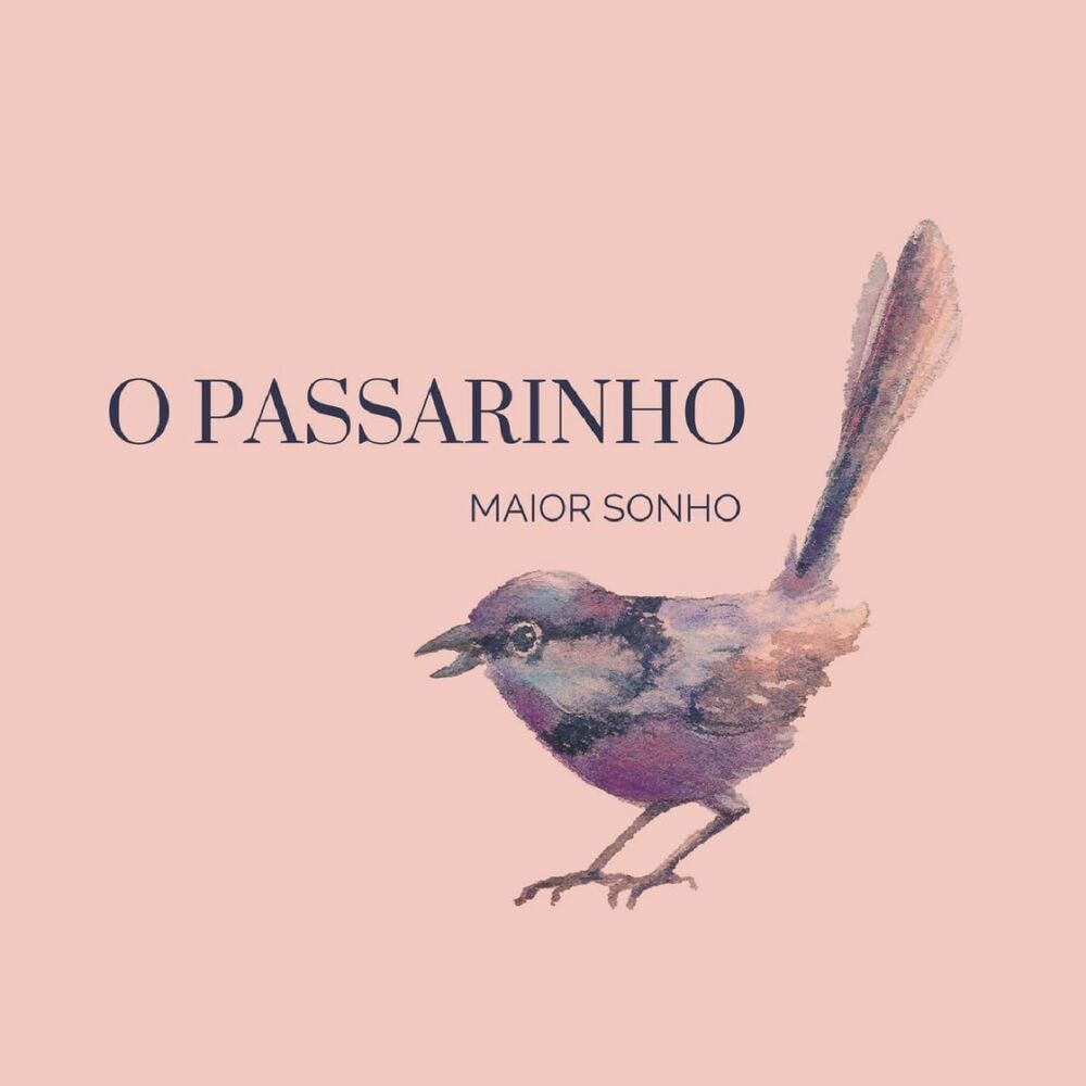 Picture of O Passarinho