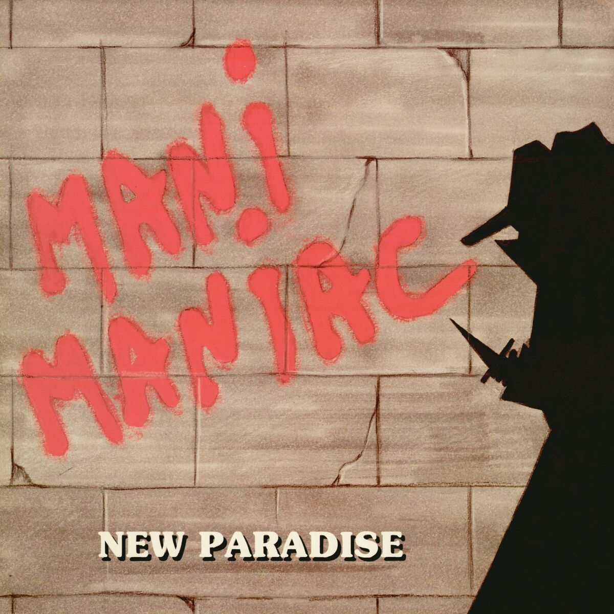 Album cover of Manimaniac