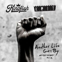 Cover of Another Life Goes By (Mississippi Mix)