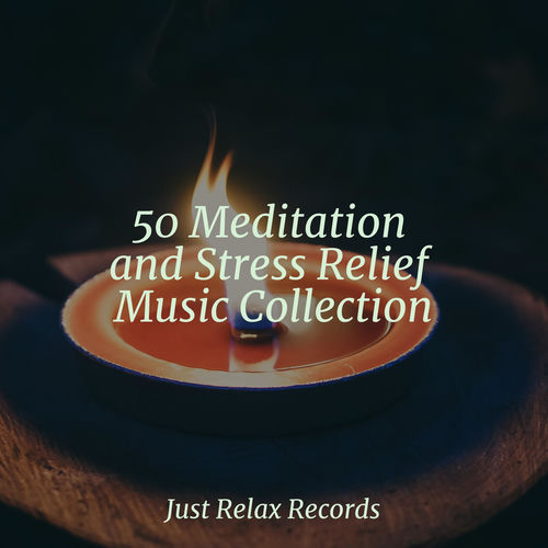 50 Meditation and Stress Relief Music Collection