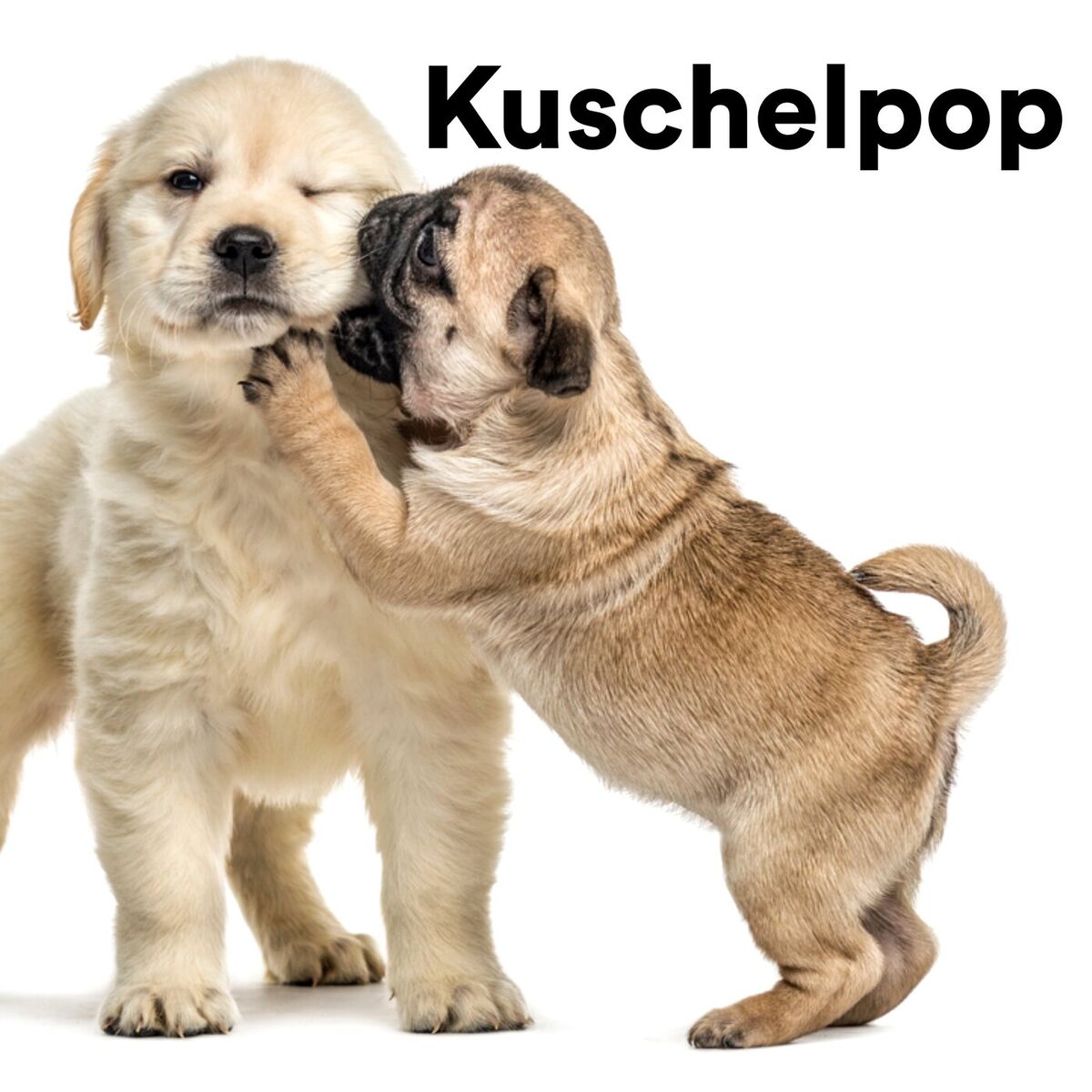 Album cover of Feuerwerk