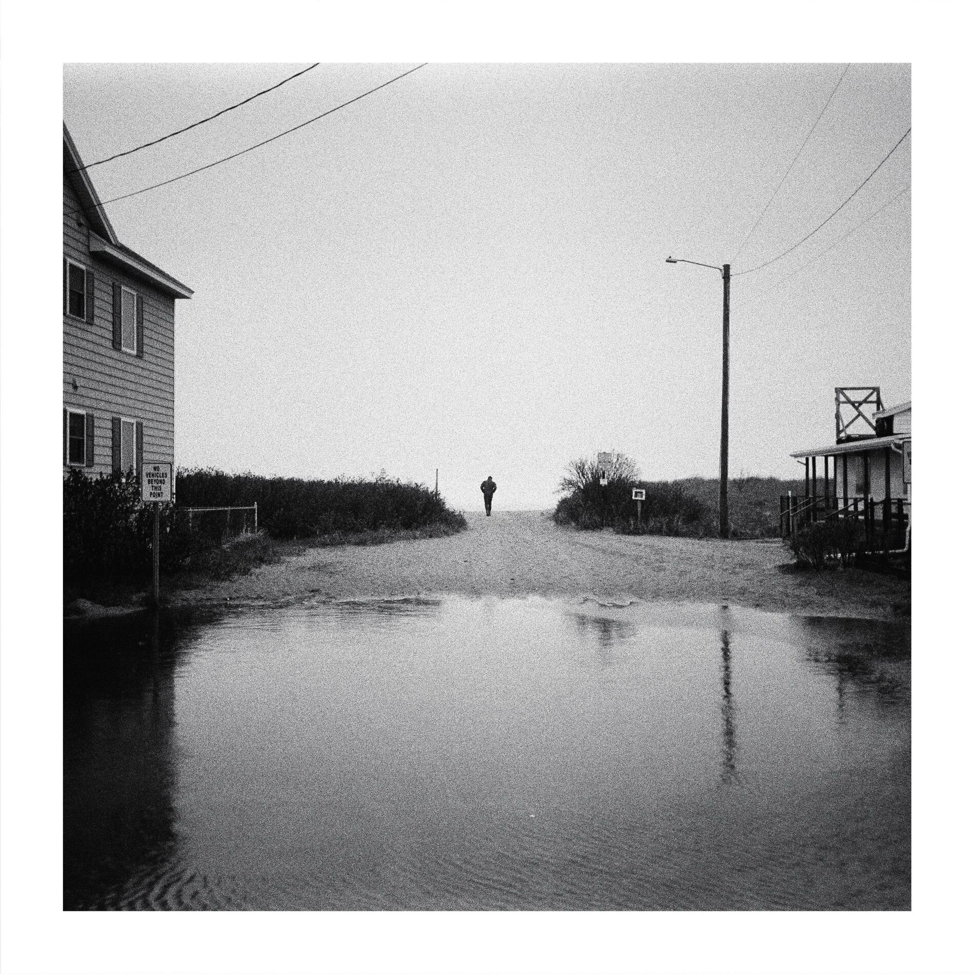 Album cover of Standing Tall
