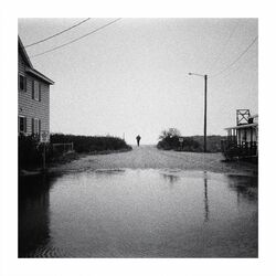Cover of What Could We Become?