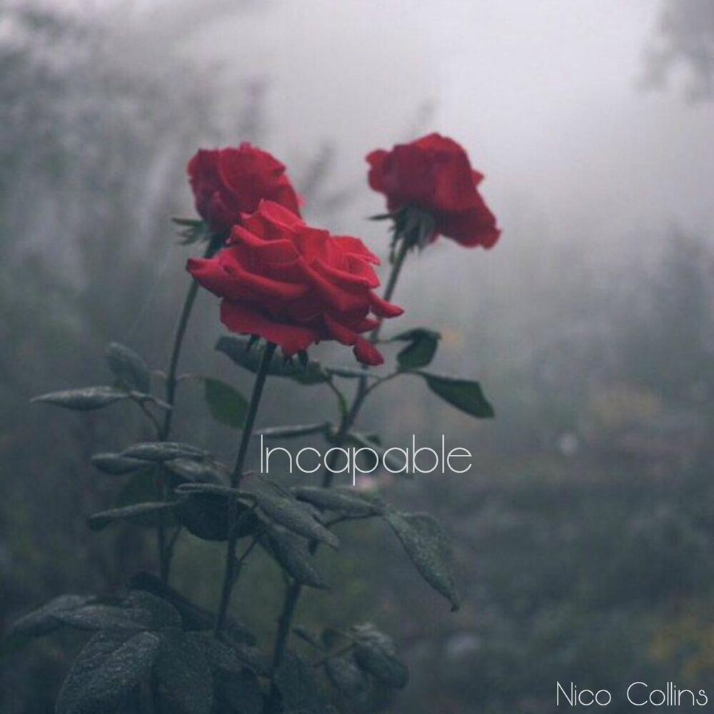 Picture of Incapable