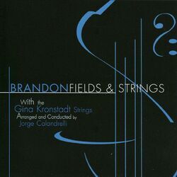 Cover of Fields & Strings