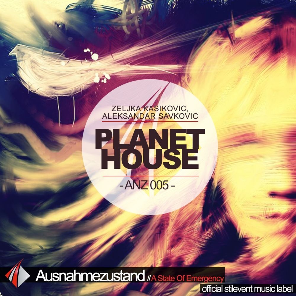 Picture of Planet House