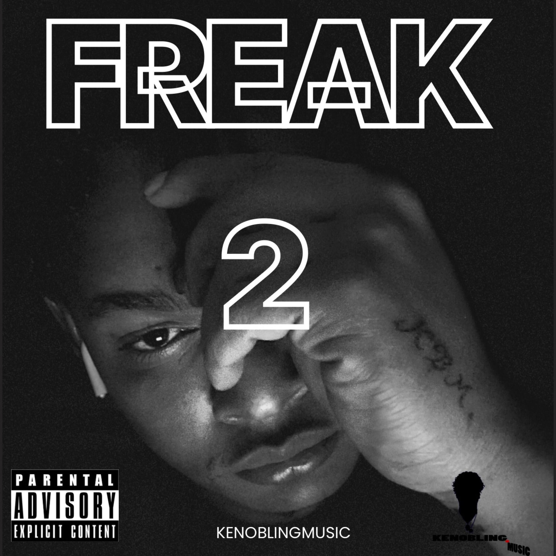 Album cover of Freak 2