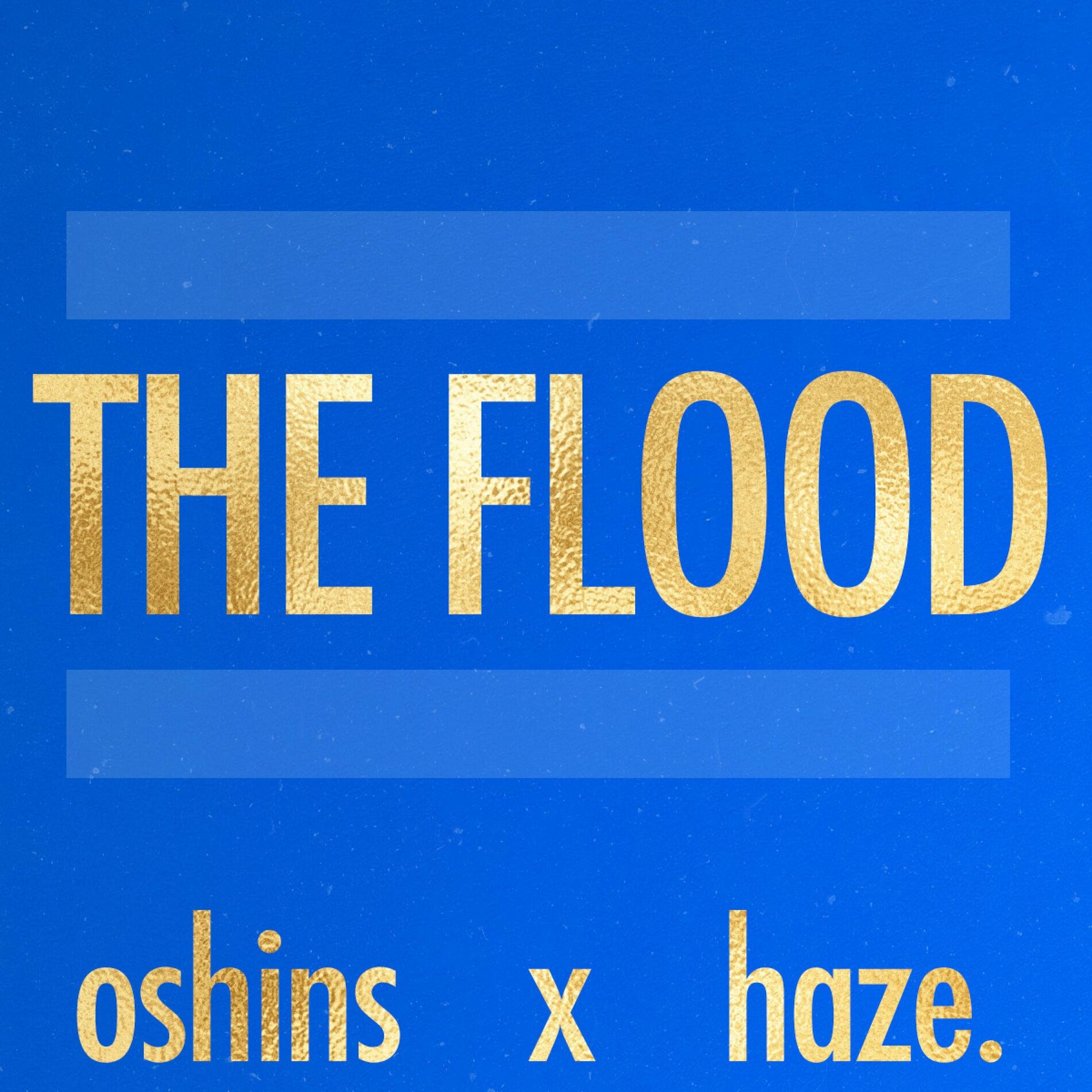 Album cover of The Flood (feat. haze.)