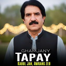 Cover of Ghamjany Tapay by undefined