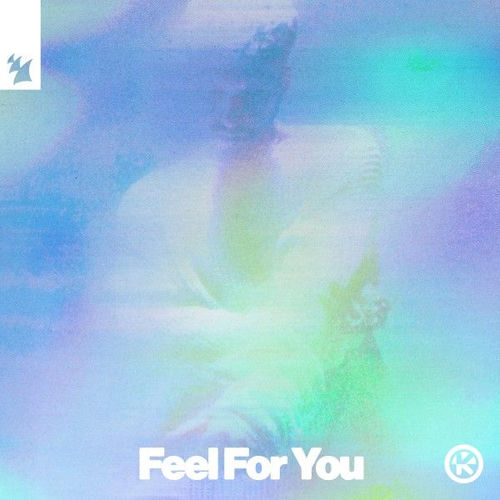 Feel for You