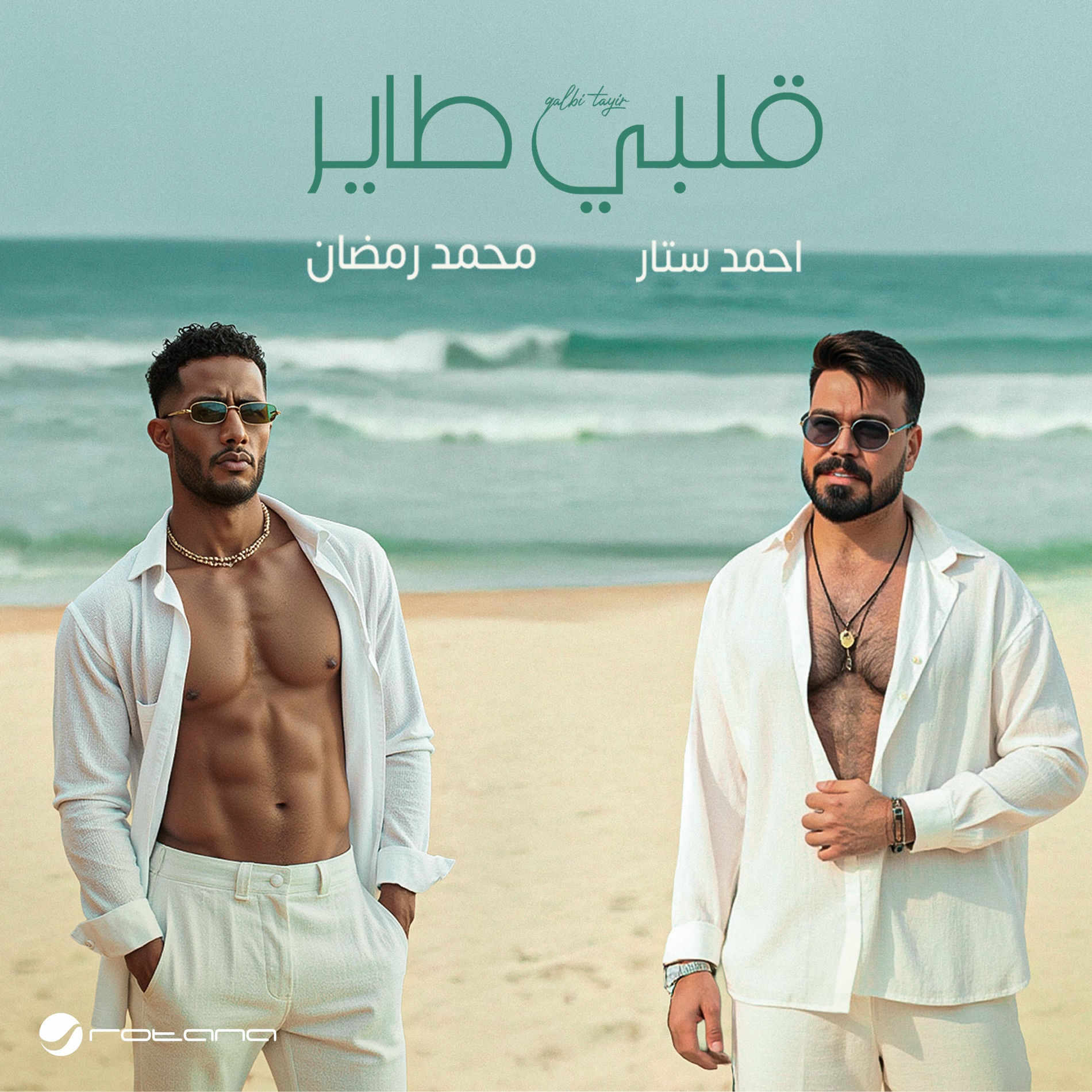 Album cover of Qalbi Tayir