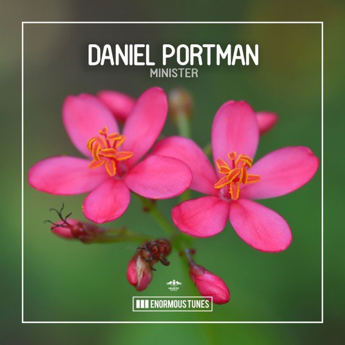 Album cover of Minister