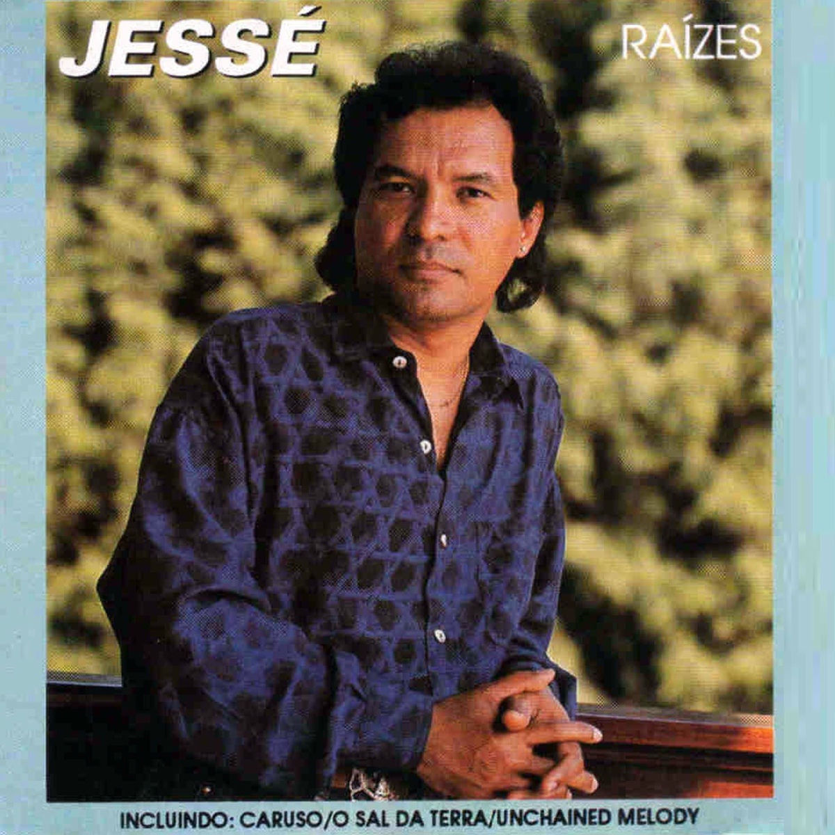 Album cover of Raízes