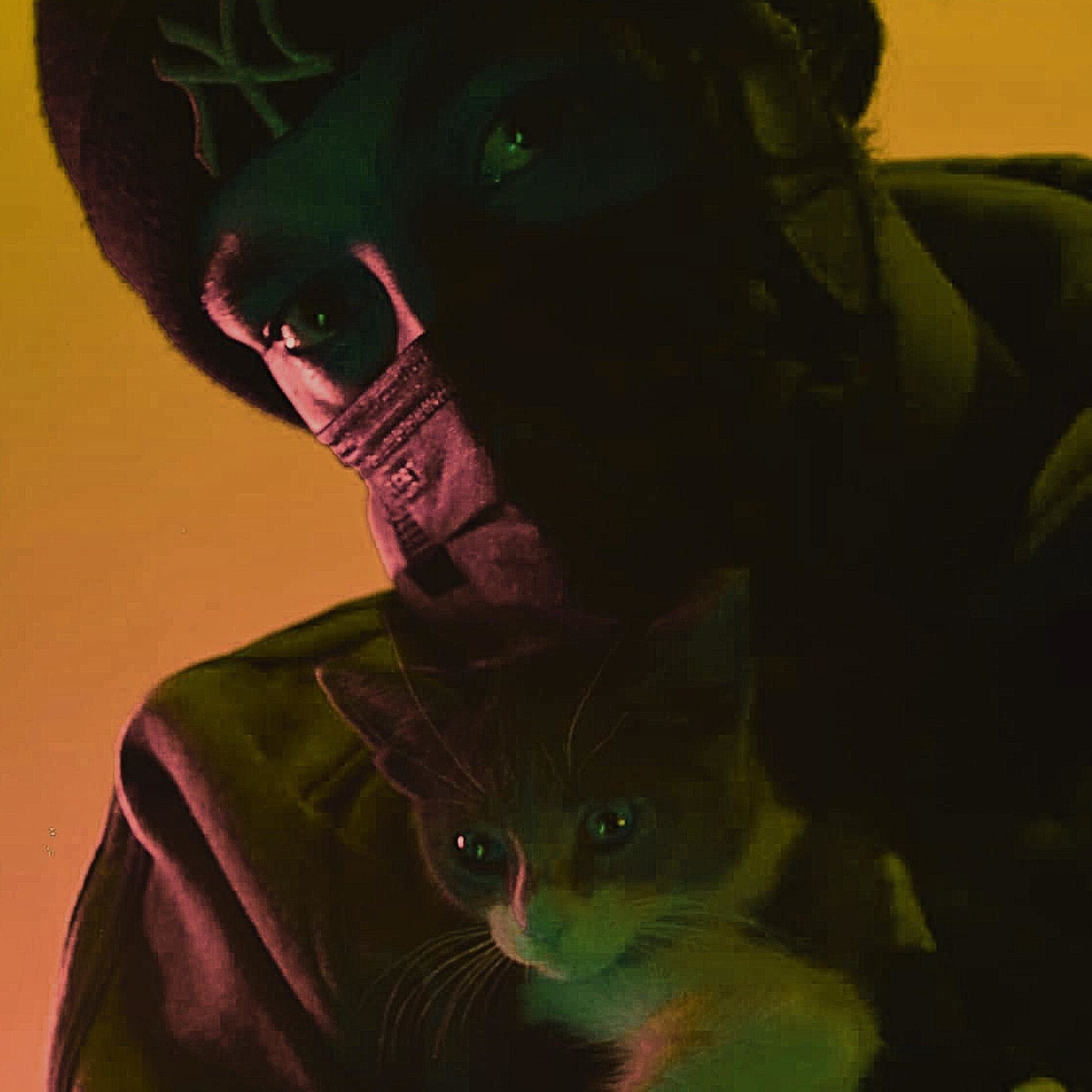 Album cover of MOODY