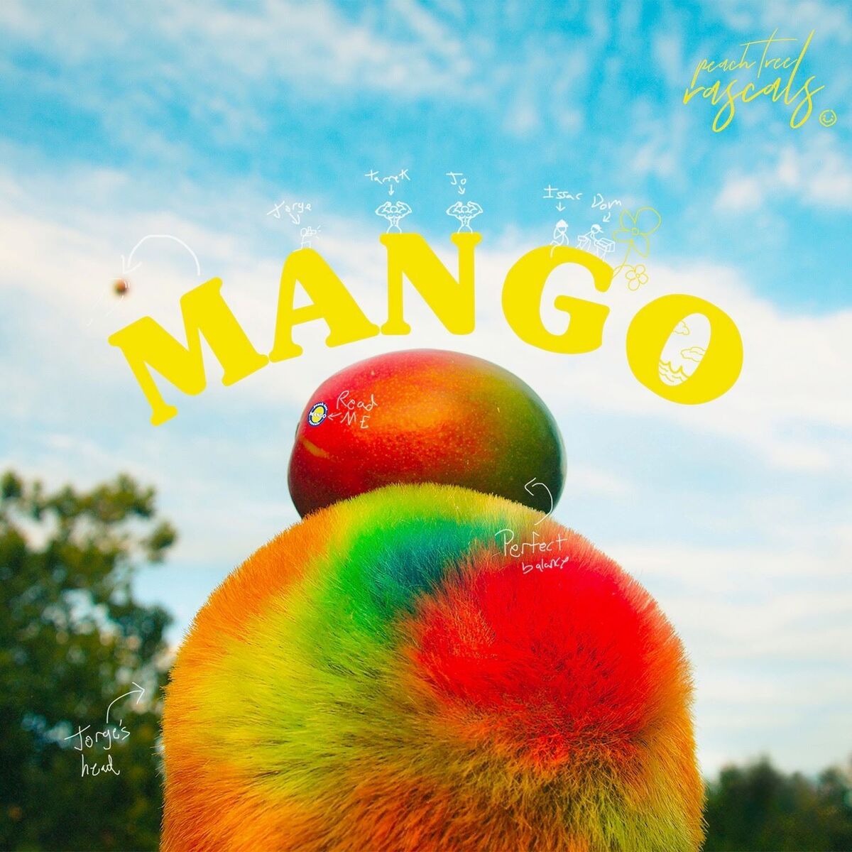 Album cover of Mango