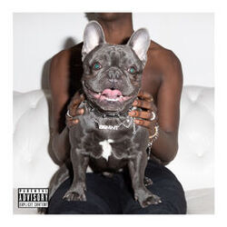 Cover of Dog
