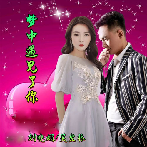 梦中遇见了你 (对唱版)