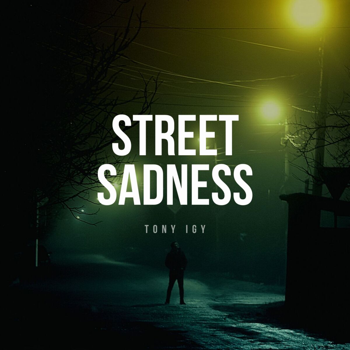 Album cover of Street Sadness