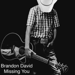 Cover of Missing You