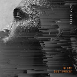 Cover of Blunt Instrument