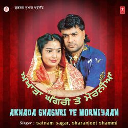 Cover of Akhada Ghaghri Te Morniyaan