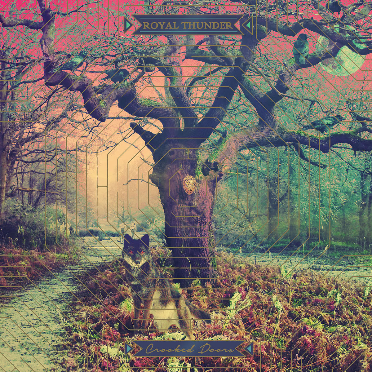 Album cover of Crooked Doors (Deluxe Version)