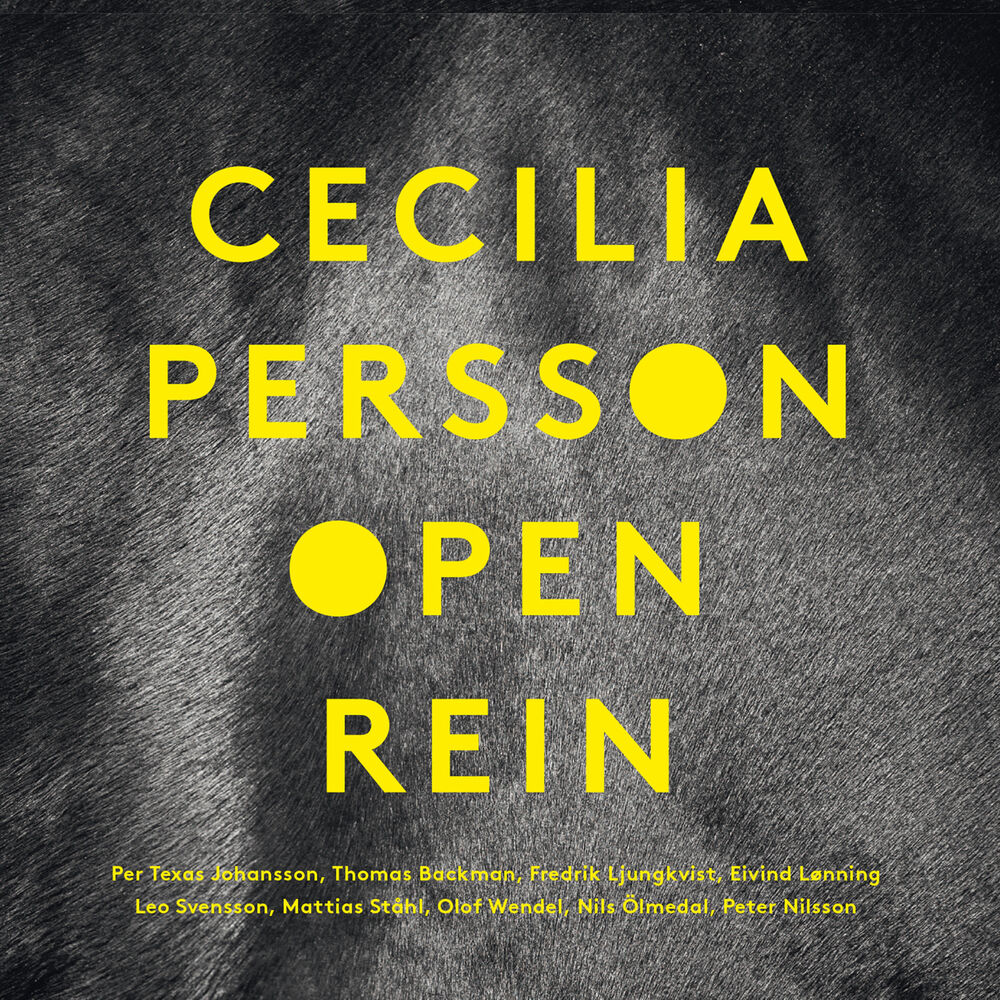 Picture of Open Rein