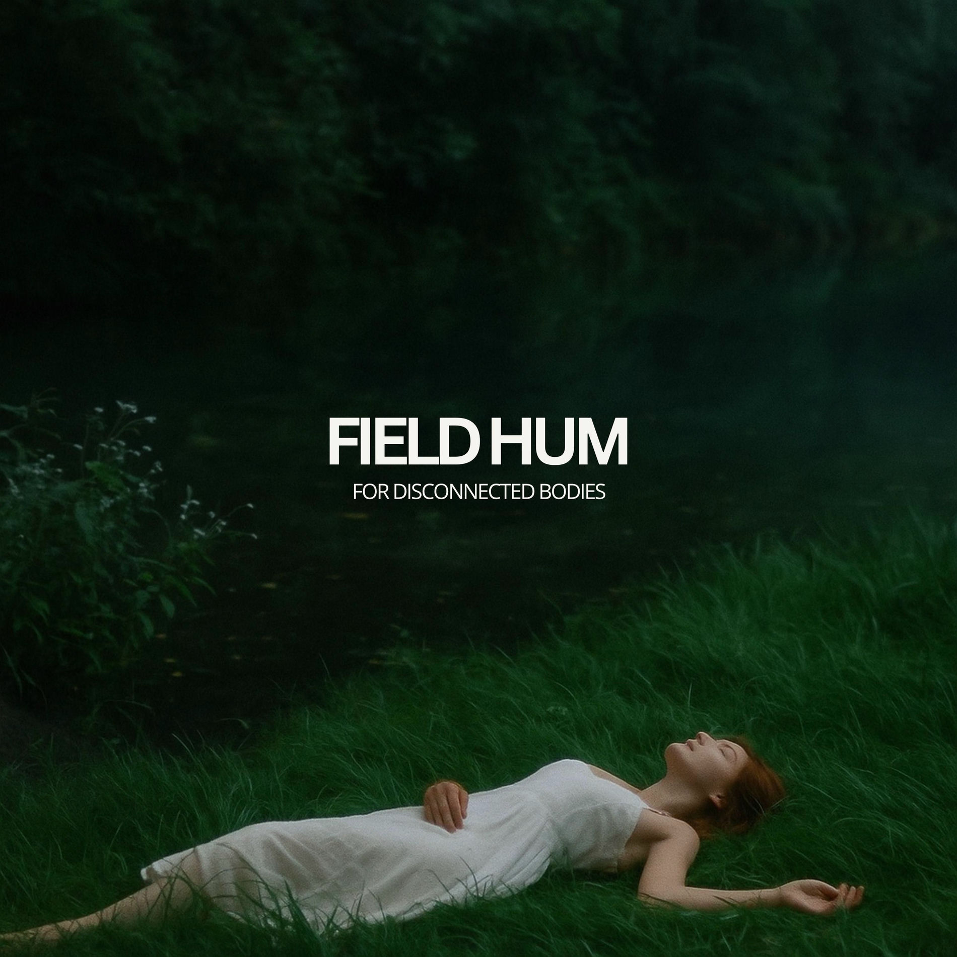 Album cover of Field Hum for Disconnected Bodies