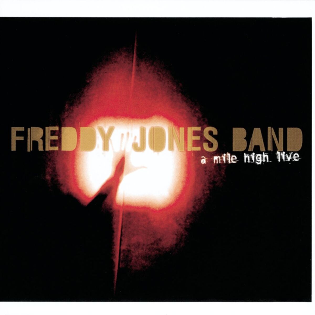 Album cover of A Mile High Live