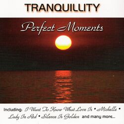 Cover of Perfect Moments