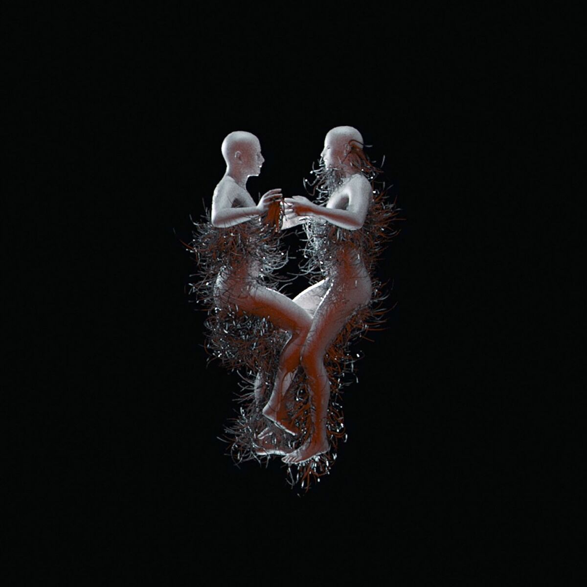 Album cover of Swill