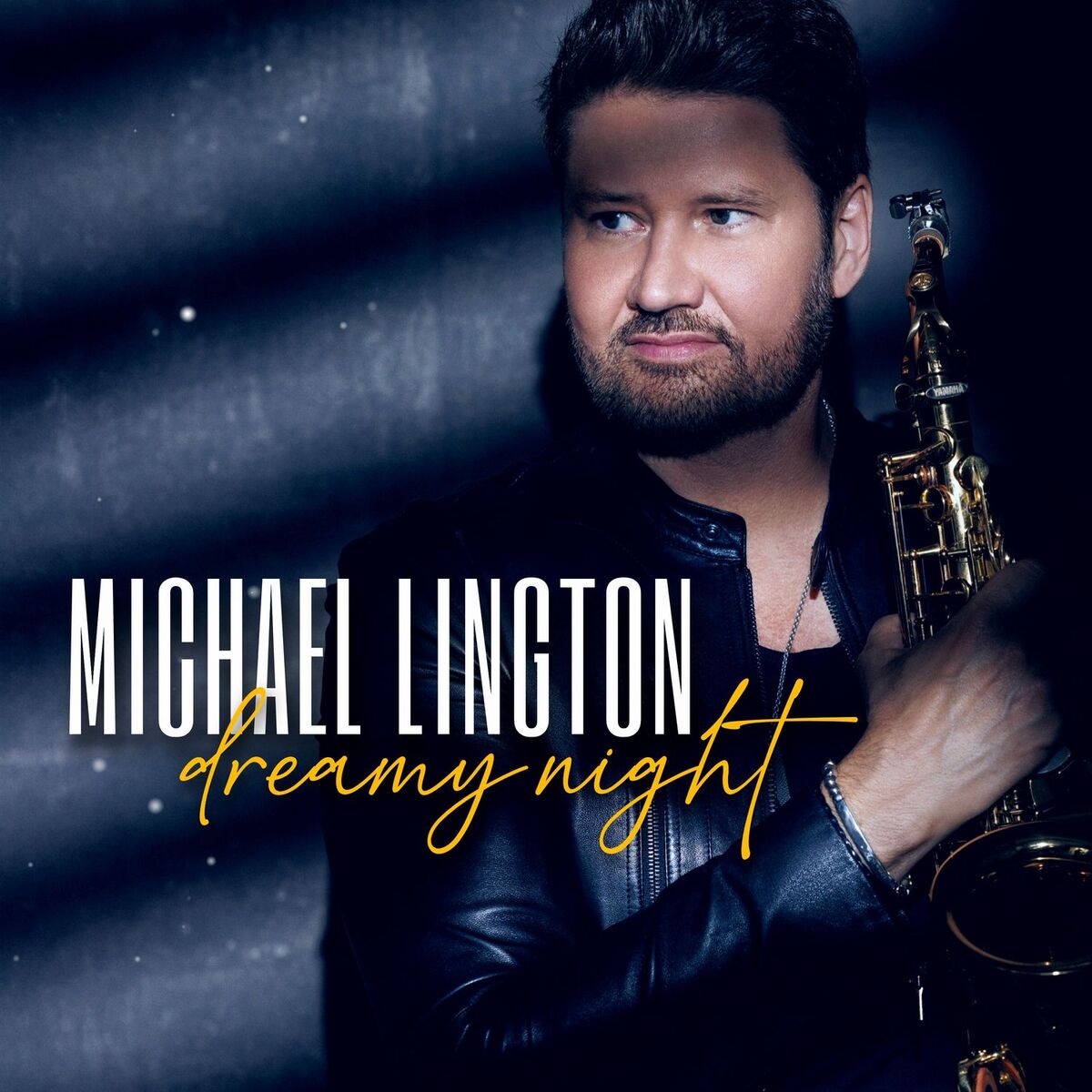 Album cover of Dreamy Night (Radio Edit)