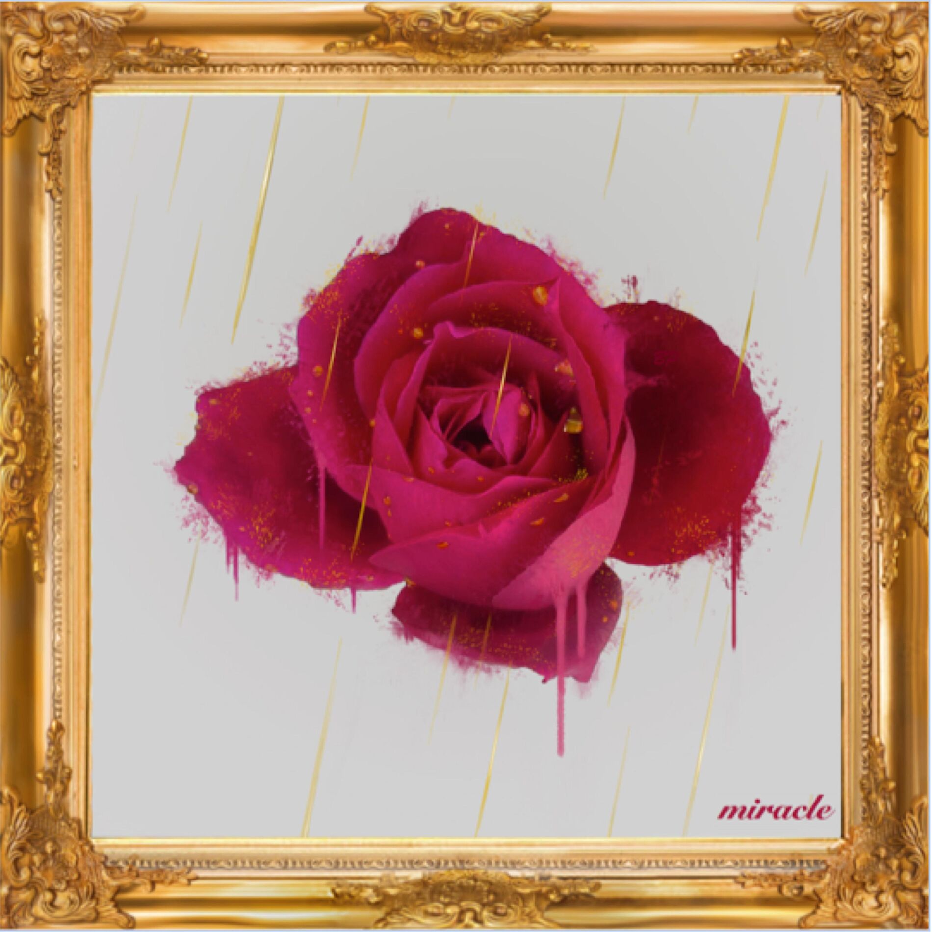 Album cover of Miracle